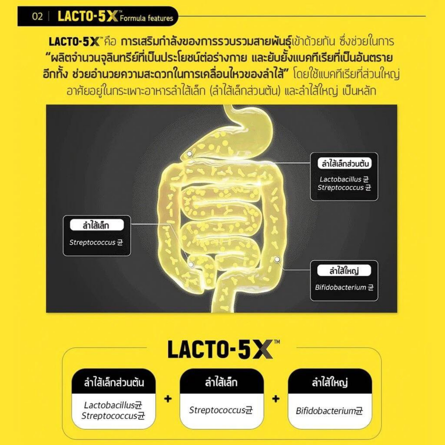 LACTOFIT LACTO-5X